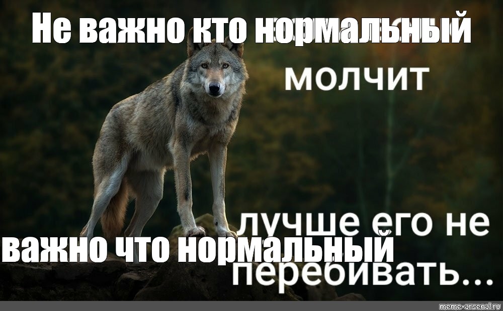 Танцующий волк мем. Не важно волк Мем. Не важно кто волк Мем. Стрелков Мем волк.