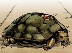 Create meme: tortoise, turtle jojo, turtle for pencil drawing