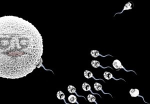 Создать мем: sperm, human sperm competition, яйцеклетка сперматозоид png