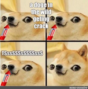 Somics Meme A Doge In The Wild Geting Crack Comics Meme Arsenal Com - roblox crack memes