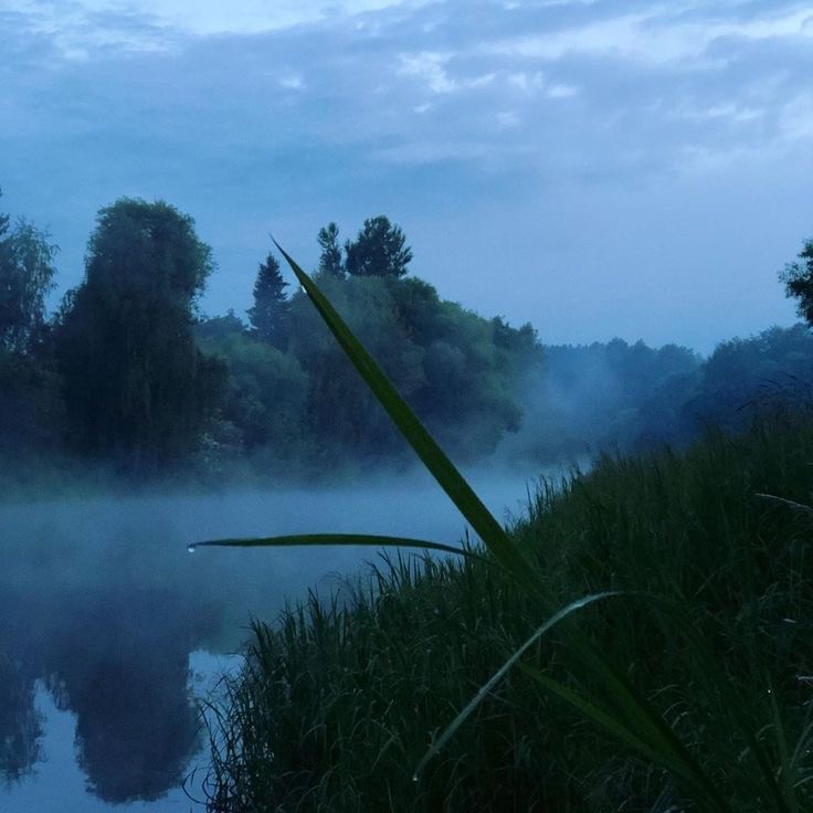 Create meme: on the pond, nature , the landscape is beautiful