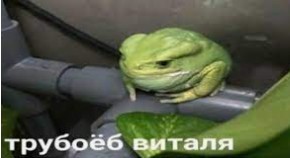 Создать мем: мем жаба, трубоеб виталя, лягушка мем 3д