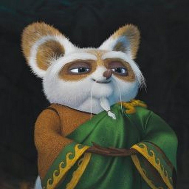 Create meme: kung fu panda, Shifu kung fu Panda, shifu from kung fu panda
