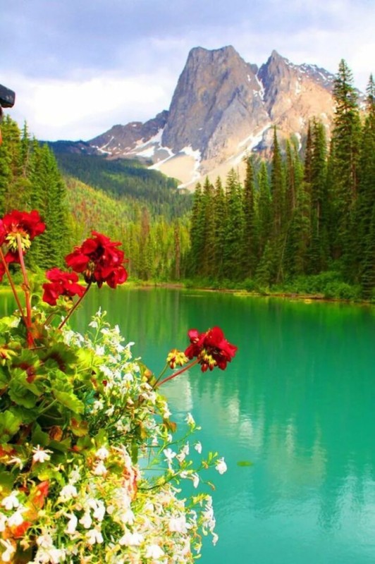 Create meme: nature beautiful, happy Wednesday, nature mountains forest