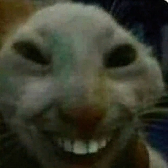 Create meme: cat with teeth meme, the cat smiles with teeth, Meme cat smiles with teeth