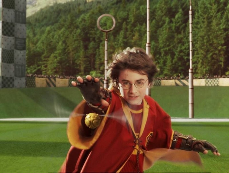 Create meme: Harry Potter Quidditch, Harry Potter The Snitch Game, Harry Potter and the Philosopher's Stone Quidditch