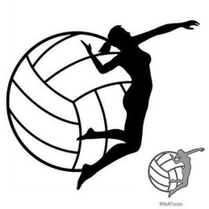 Create meme: volleyball drawing, volleyball logo, coloring of a volleyball ball