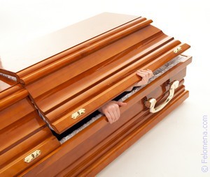 Create meme: the coffin