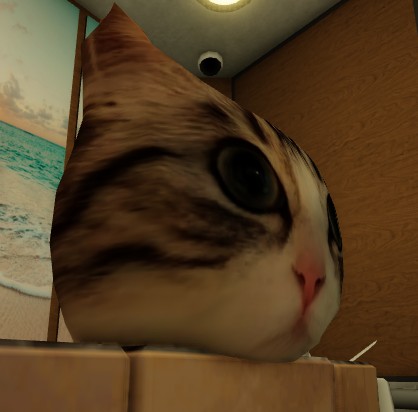 Create meme: cat , cat , cat simulator game