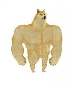 Создать мем: пес качок мем, buff doge, качок доге и чимс