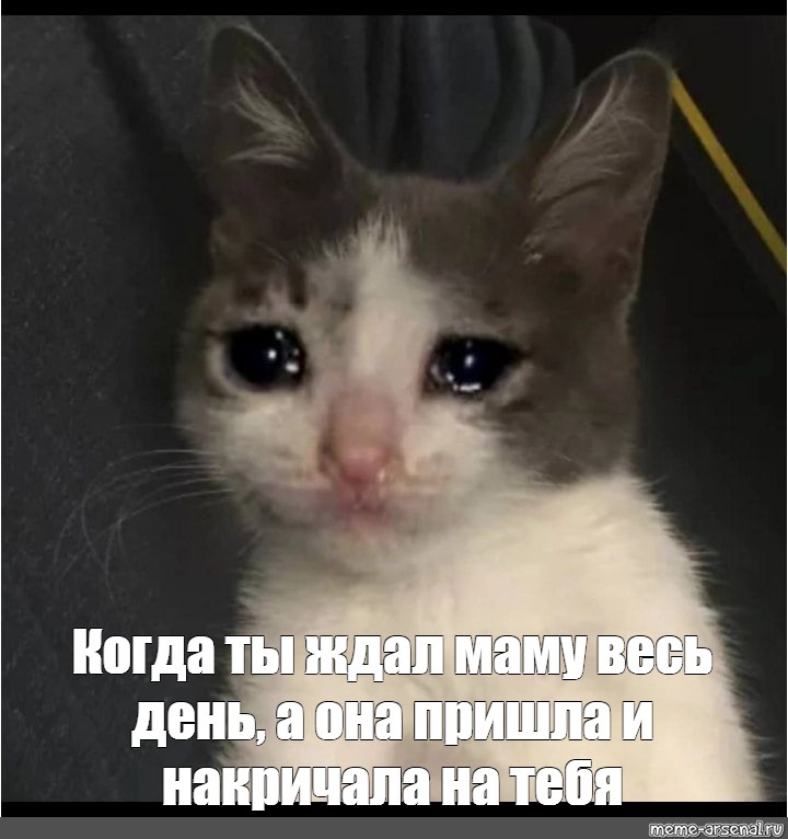 Meme: Когда ты ждал маму весь день, а она пришла и накричала на тебя