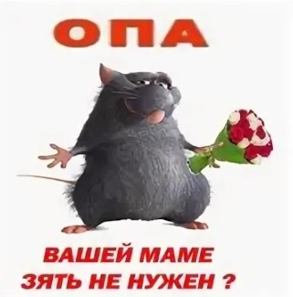 Create meme: ratatouille rat father, your mother doesn't need a son-in-law, Ratatouille rat