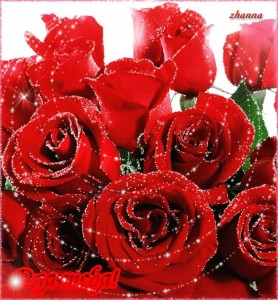 Create meme: red roses, beautiful roses