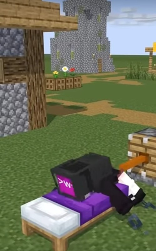 Create meme: minecraft PE, minecraft girl, game minecraft