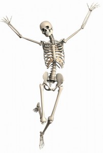 Создать мем: скелет пнг гиф, skeleton man, skeleton