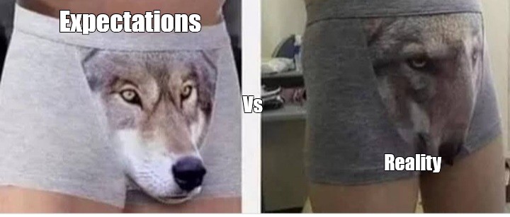 Create comics meme wolf, underwear wolf - Comics 