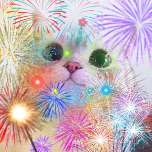 Create meme: fireworks background, the fireworks