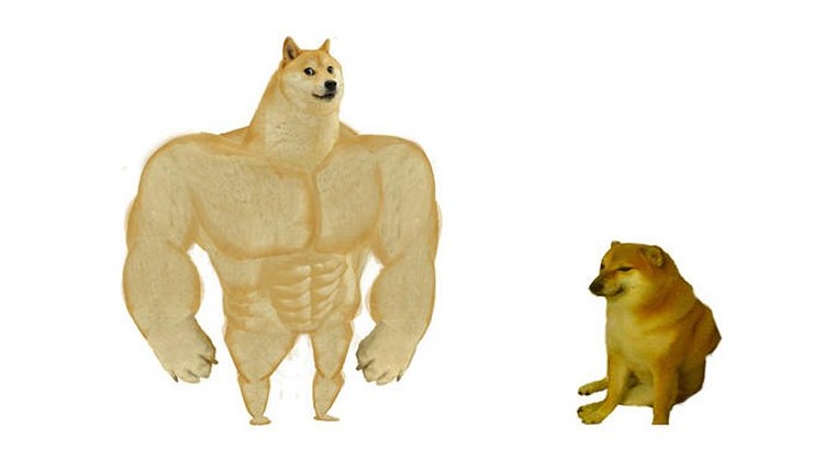 Create meme: the pumped-up dog from memes, doge meme Jock, inflated dog meme