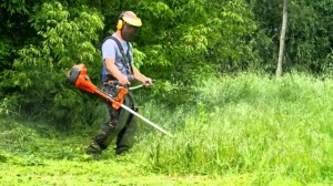Create meme: Maykop mowing grass, lawn mowing cut down trees, cleaning of territories, mowing grass and weeds