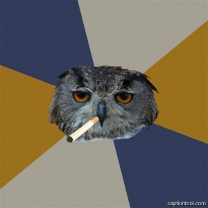 Create meme: memes, owl, I am an artist