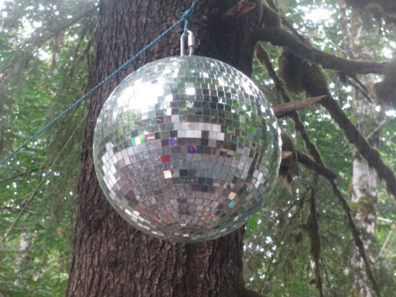 Create meme: Disco ball in the forest, The mirror ball, a disco ball