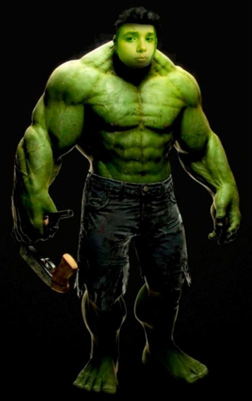 Create meme: superheroes Hulk, The hulk is a superhero, marvel hulk heroes