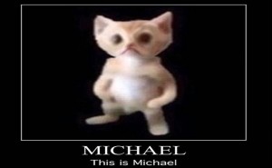 Создать мем: текст, miguel this is miguel meme cat, кот мигель мем