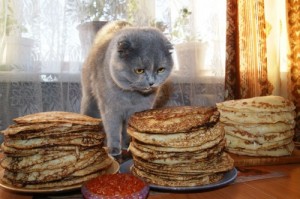 Create meme: carnival, not all cat carnival, pancakes