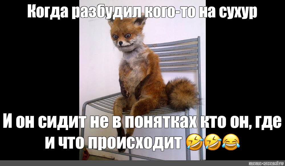 Продолжаем сидеть