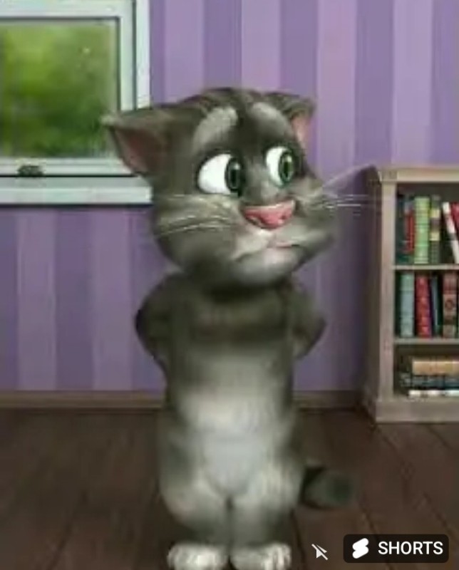Создать мем: talking tom cat, игра говорящий том, говорящий кот том