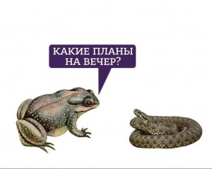 Create meme: toad, toad Viper
