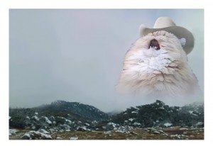 Create meme: the cat in the mountains of meme, the cat in the hat shouts, screaming cat in the hat
