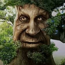 Create meme: The tree is wise, a mystical tree with a face, wise mystical tree