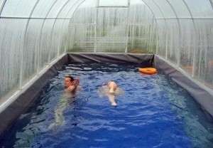 Create meme: indoor pools, the pool in the greenhouse from polycarbonate, indoor pool
