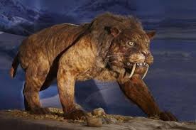 Create meme: prehistoric predators saber-toothed tiger, saber - toothed cave lion, bengal saber - toothed tiger