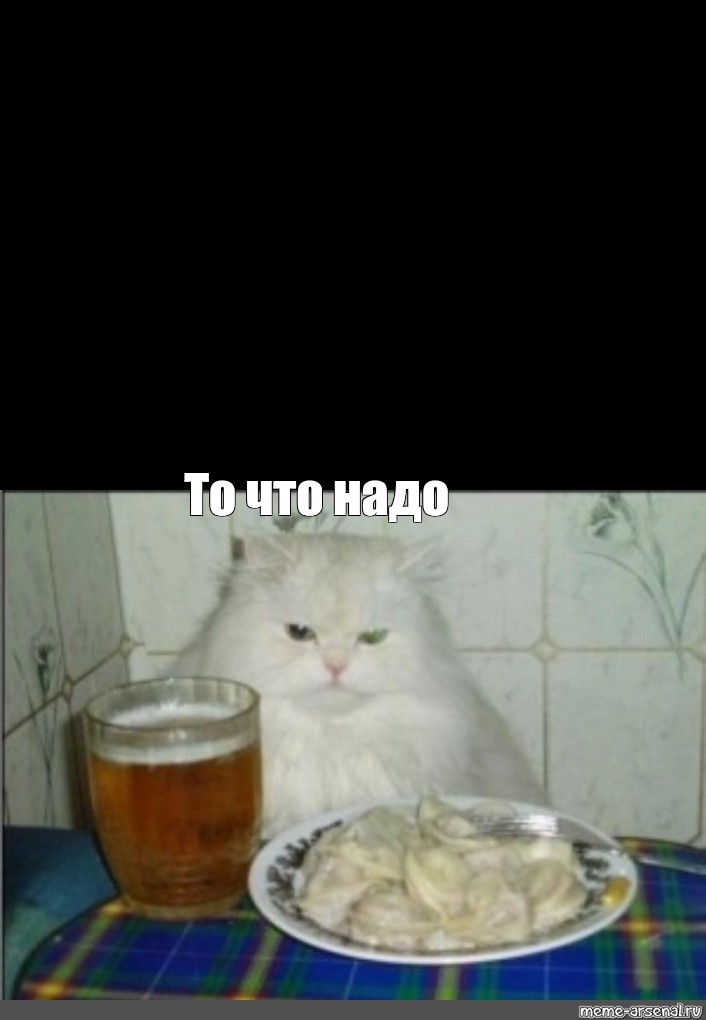 Мем, кошка с пельменями(Meme cat with dumplings)#кошка с пельменями #cat with du