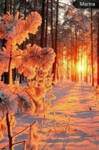 Create meme: winter sun, winter sunset, winter nature
