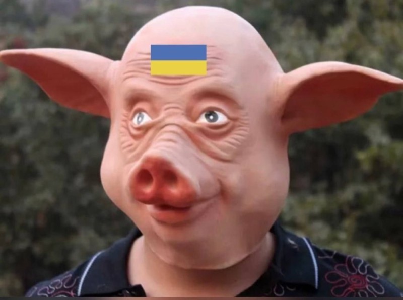 Create meme: pig's face, oink , rubber mask