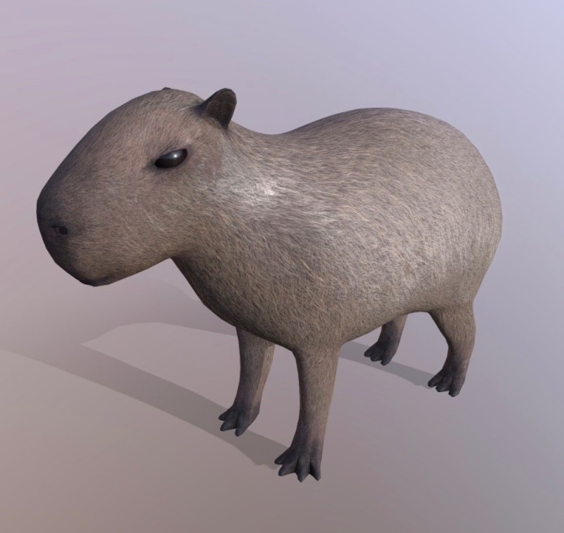 Create meme: 3d capybara, capybaras , two capybaras