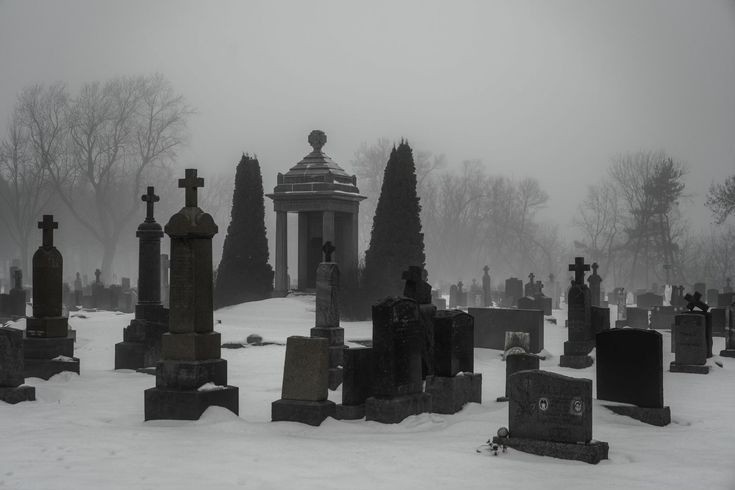 Create meme: cemetery , Gothic cemetery in St. Petersburg, cemetery in the fog