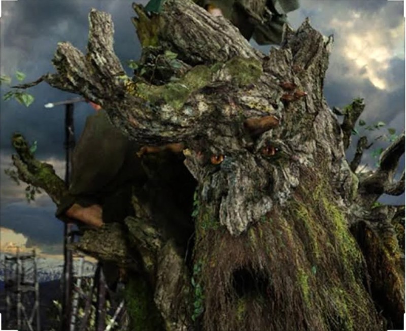 Create meme: ents the lord of the rings, The ent tree is the Lord of the Rings, the ancient lord of the rings
