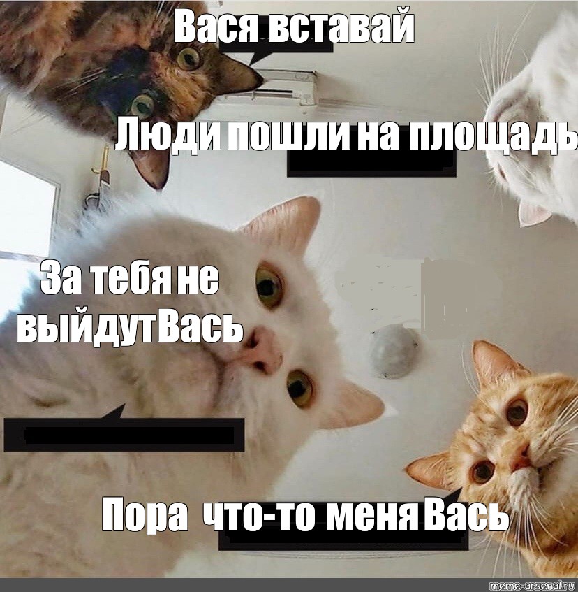 Вася считает. Мемы с кошками. Кот Вася Мем. Кот бесоебит. Мемы с котами пора.