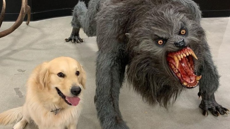 Create meme: dog and monster meme, mad dog , the dog and the werewolf meme