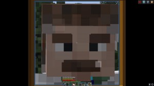 Create meme: minecraft