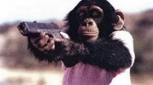 Создать мем: chimpanzee, monkey gif, animals