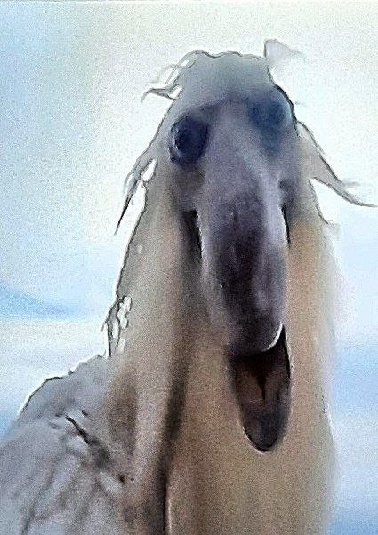 Create meme: Creepy bird footage from 2027, horse grey, horse 