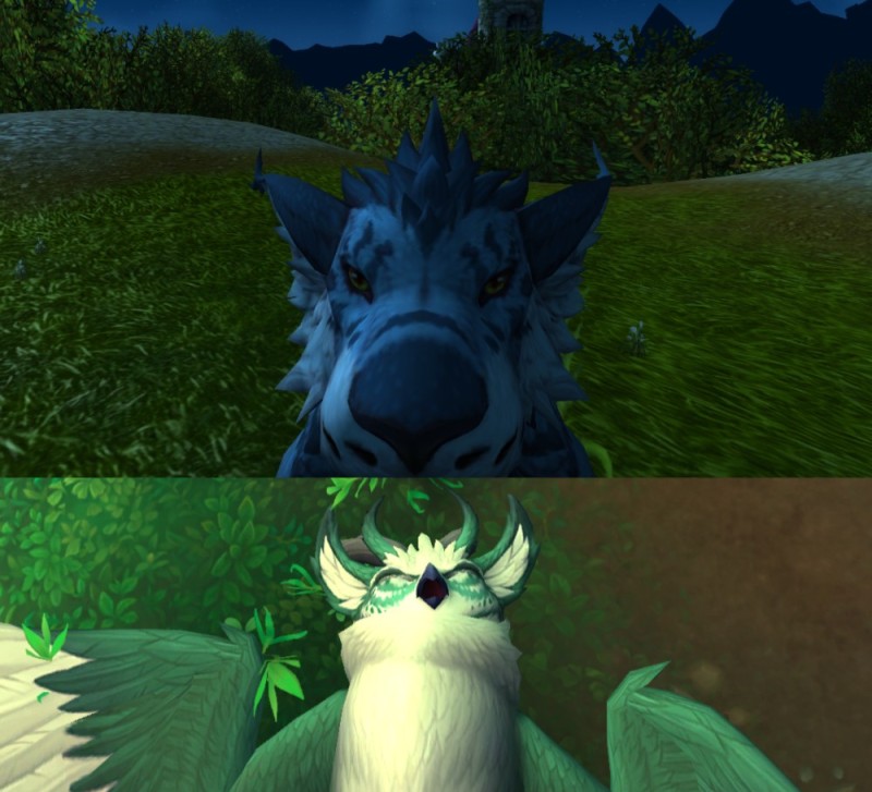 Create meme: wow , druid , wow moon wolf