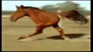 Создать мем: двуногий конь бежит, двуногий конь, тыгыдымский конь