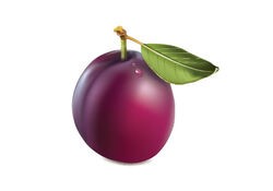 Create meme: plum, plum png, plum picture on a white background