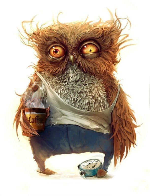 Create meme: sleepy owl coffee, the owl is cool, good morning owl